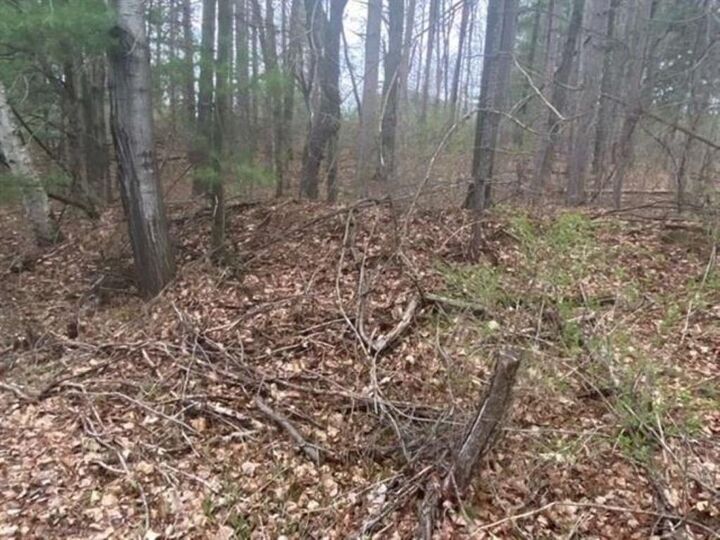 Property Photo:  3836 Woodland Ridge Road  WI 54403 