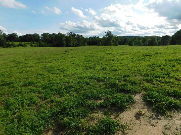Property Photo:  Tbd Groundhog Rd  TX 75647 