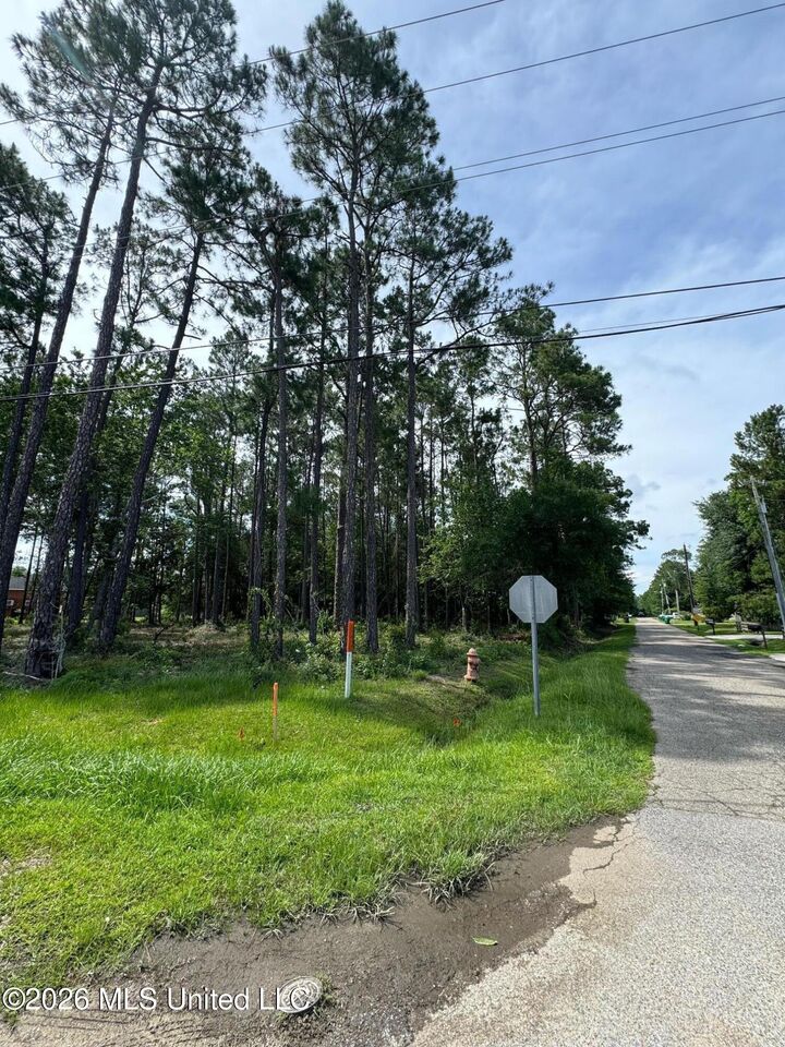 Property Photo:  Avenue B  MS 39576 