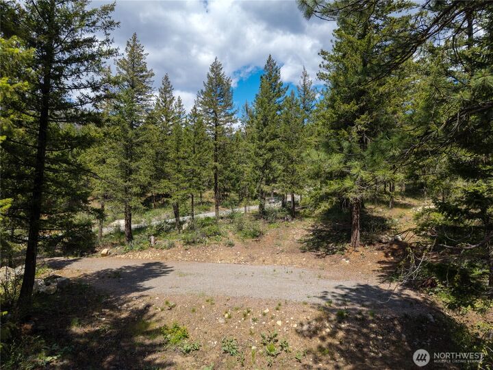 Property Photo:  6  Homestead Road  WA 98862 