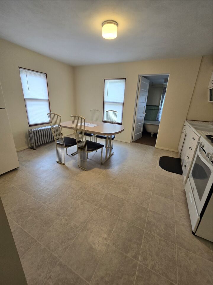 Property Photo:  219 Odell Avenue 2  NY 13760 