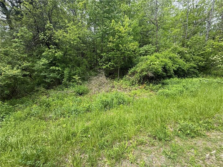Property Photo: 00 Straw Hill Road NY 13734