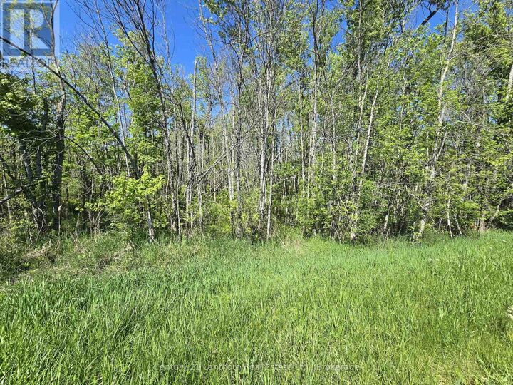 Property Photo:  00 Shannonville Road  ON K0K 1V0 