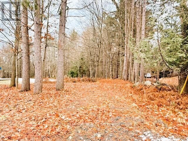 Property Photo:  93 Town Line Road West  ON P1H 1S6 