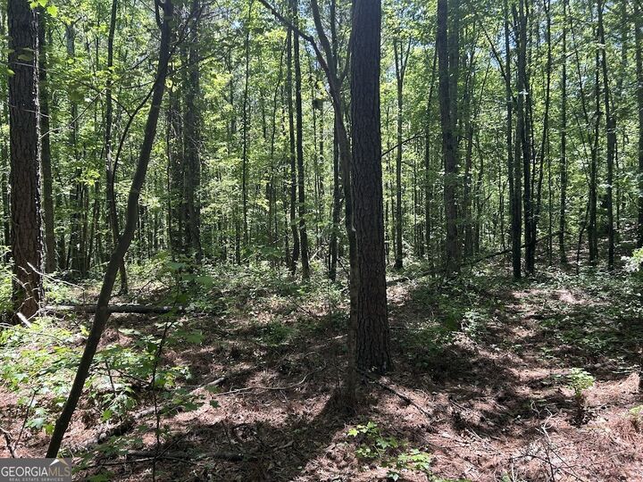 Property Photo:  0 Old Draketown Trail  GA 30179 