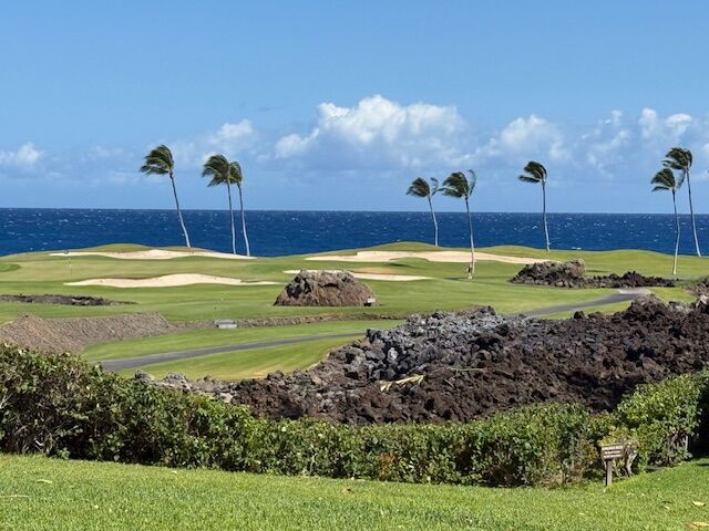 Property Photo:  68-1050 Mauna Lani Point Dr D101  HI 96743 