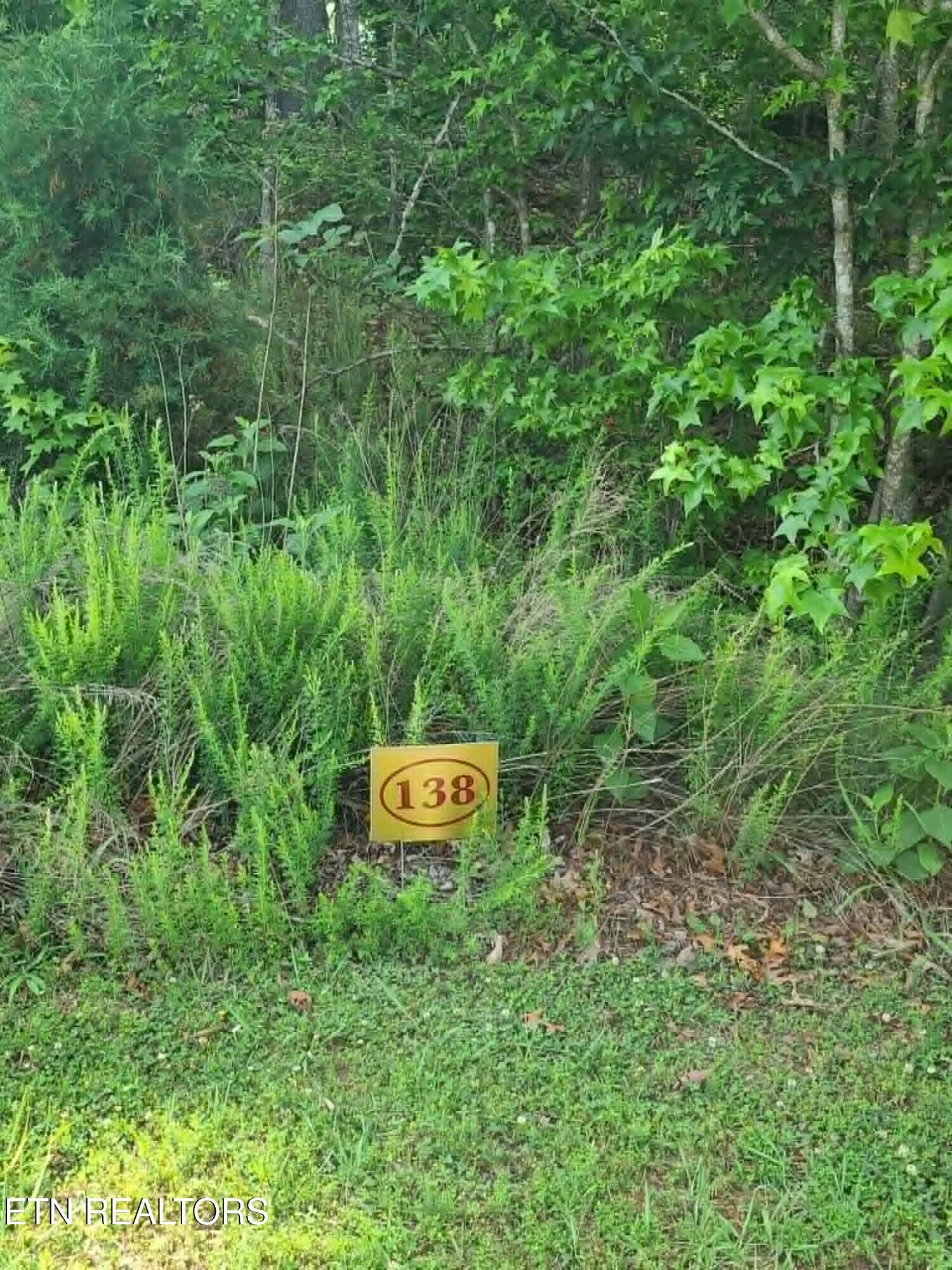 Property Photo:  Lot 138 E Shore Drive 138  TN 37854 