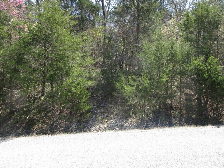 Property Photo:  Lot 6, Hillside Drive  AR 72631 