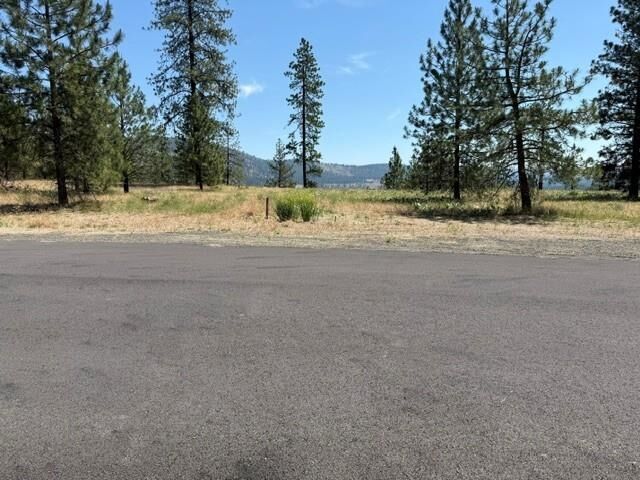Property Photo: Lot 1 Long Lake Estates Est WA 99026