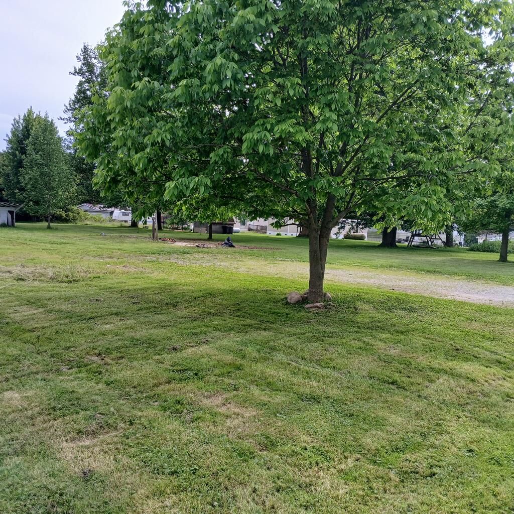 Property Photo:  Gifford St  OH 44837 