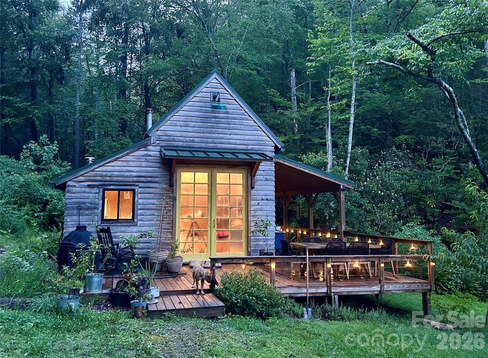 Property Photo:  204 Rush Creek Road  NC 28711 