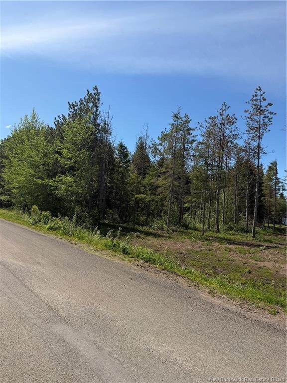 Lot Cody Road — photo 1