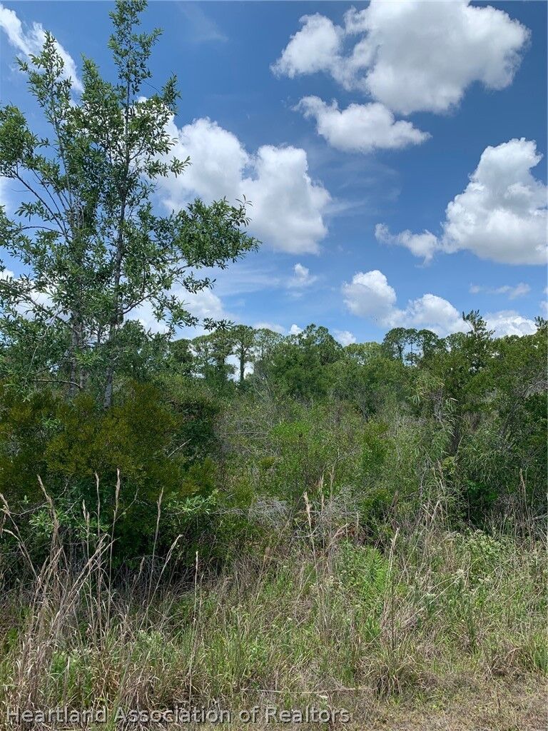 Property Photo:  1220 Breneman Street  FL 33852 