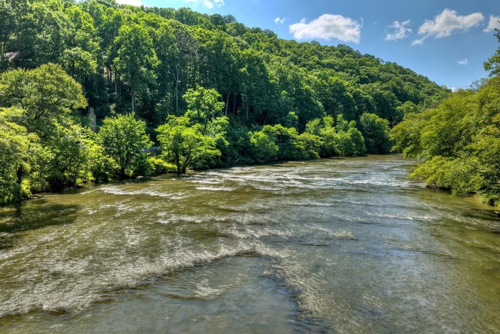 Property Photo:  92 Fish Trap Road  GA 30513 
