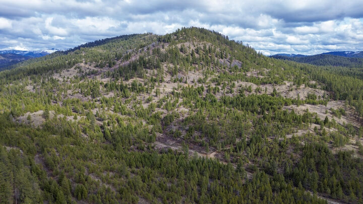 Property Photo:  352X Greene Rd  WA 99181 