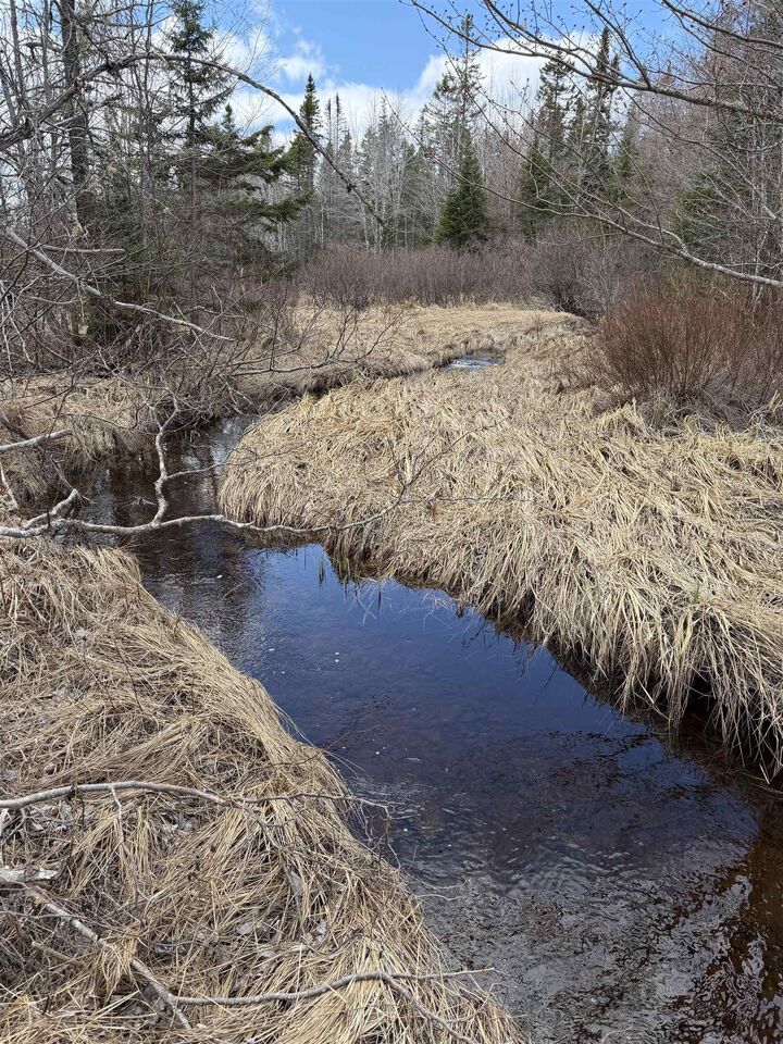 Property Photo:  Lot Cl3 Palmer Road  NS B0M 1Z0 