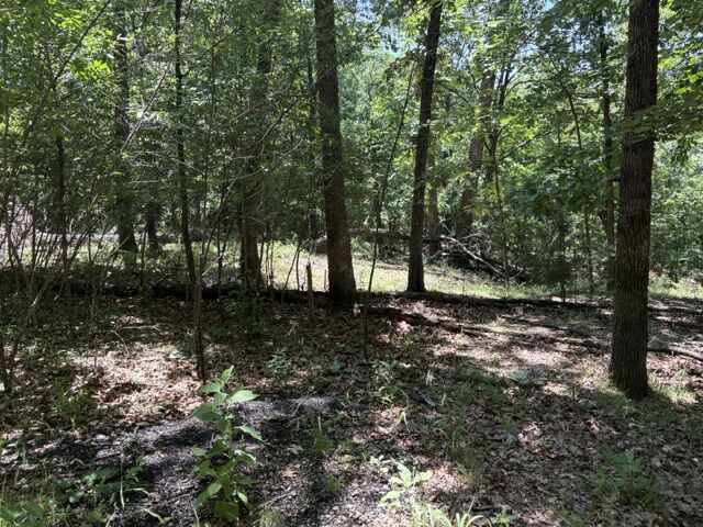 Property Photo:  Lots 23-25 Maple Drive  AR 72732 