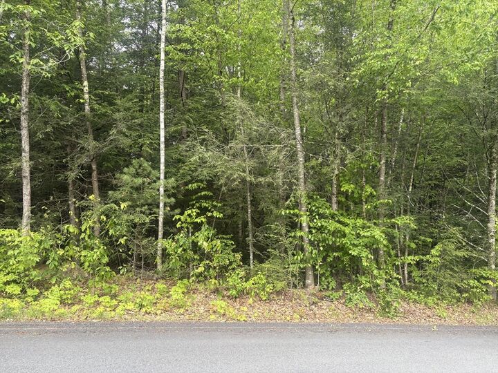 Property Photo: 0 Gray Road MA 01468