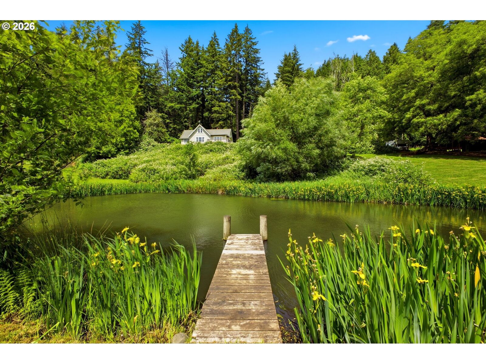 Property Photo:  431 Skelton Rd  WA 98648 