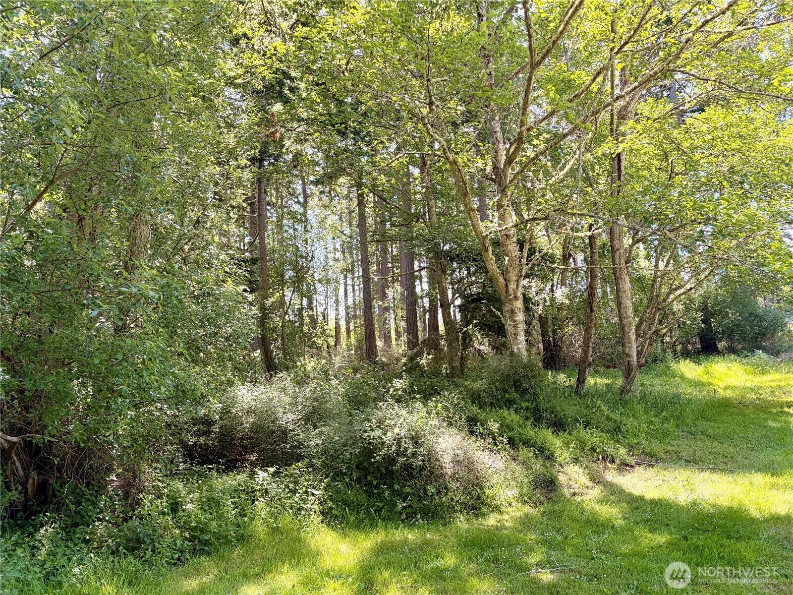 Property Photo:  0  Old Cedar Lane  WA 98277 