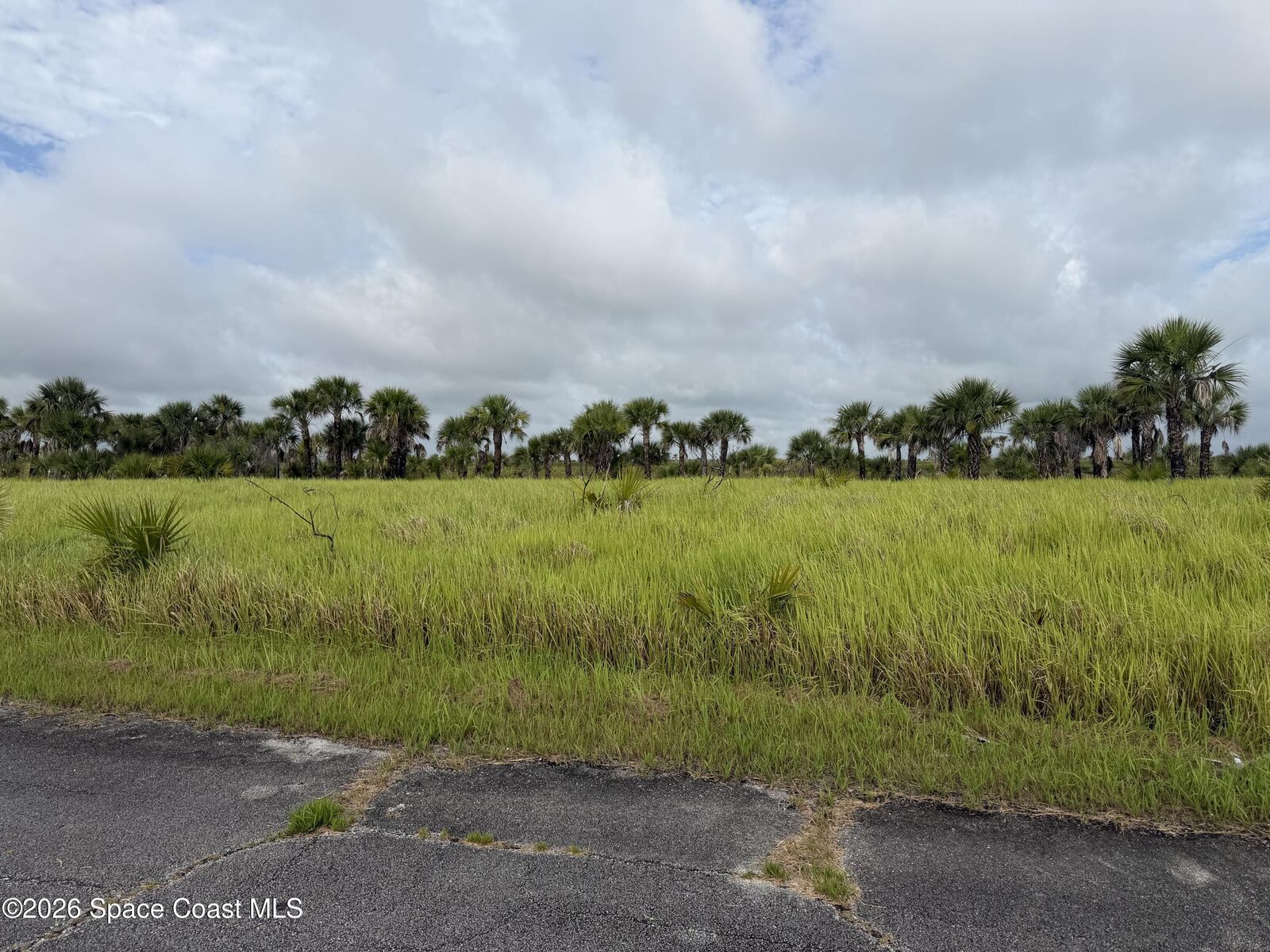 Property Photo:  2100 Wabowen Road SW  FL 32908 