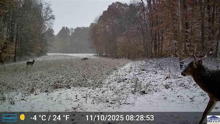 Property Photo:  13960 N Rock Run Church Road  IN 47874 