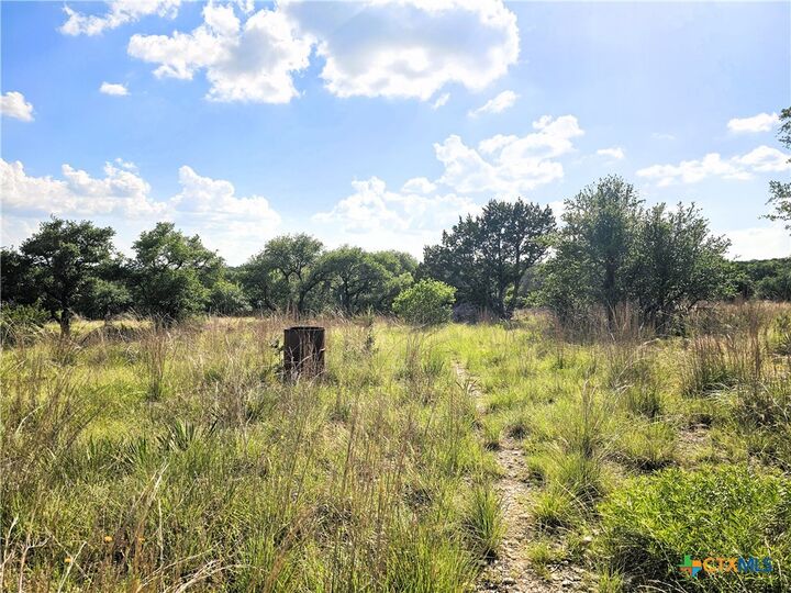 Property Photo: 100 Reavis Drive Drive TX 76539