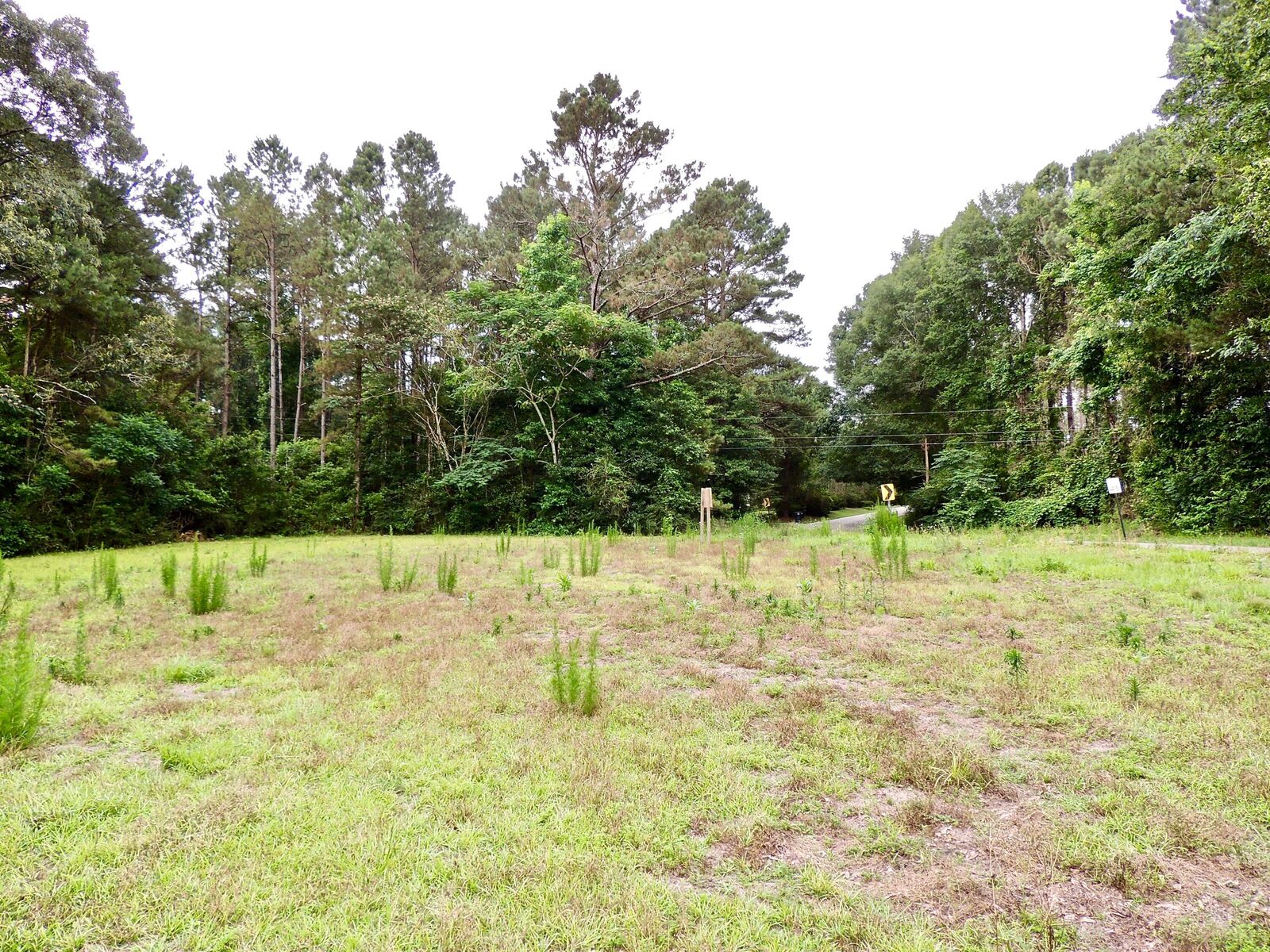 Property Photo:  000 Rocky Branch Rd.  MS 39482 