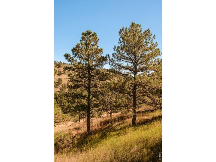 Property Photo: 6365 Red Hill Rd CO 80302