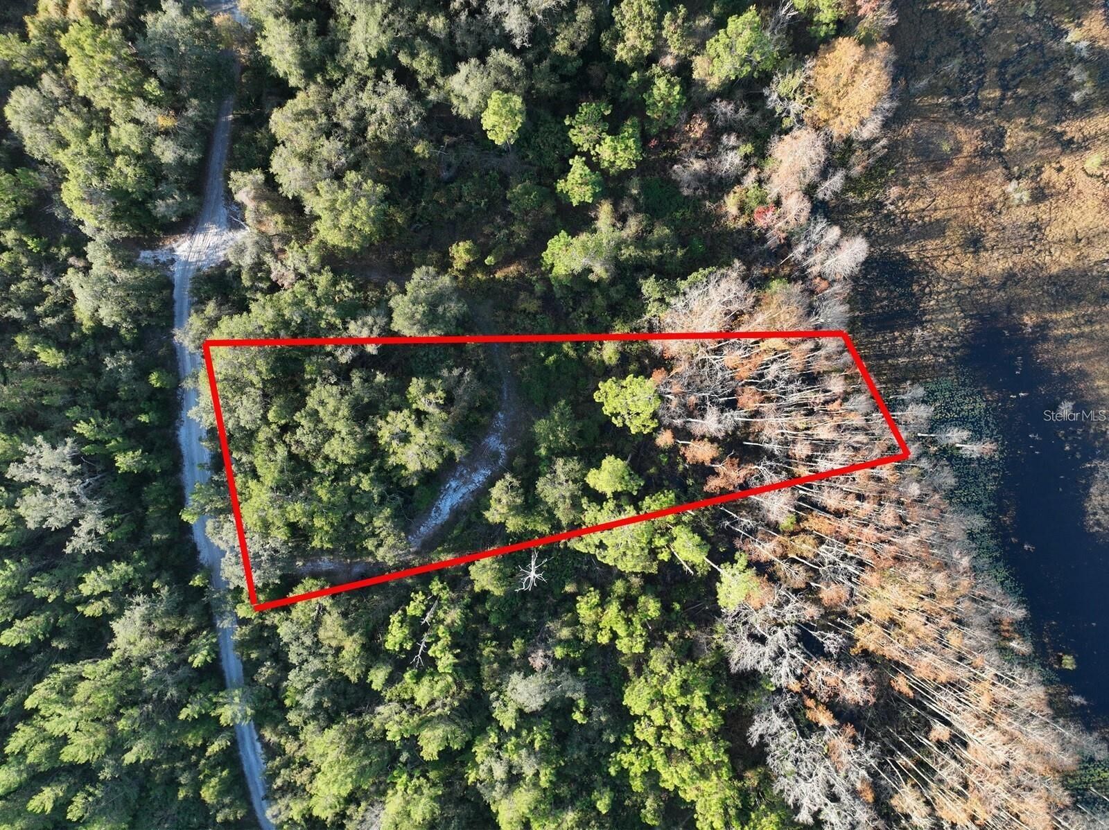 Property Photo:  West Parkway  FL 32724 