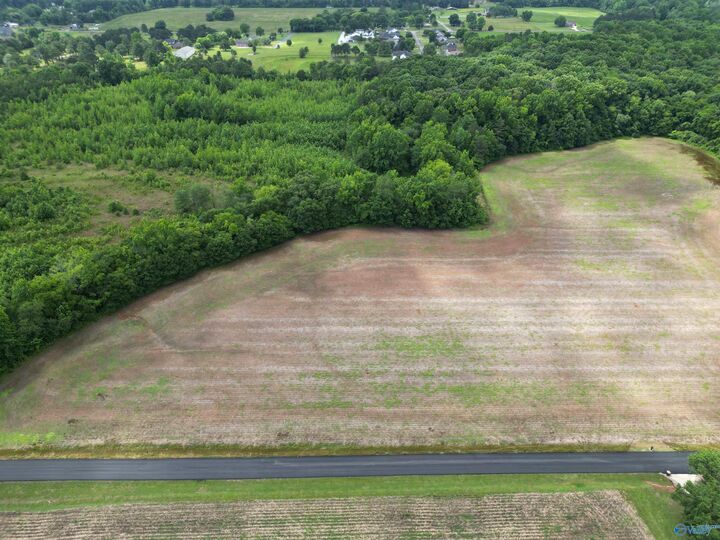 Property Photo:  26 Acres Ed Ray Road  AL 35613 