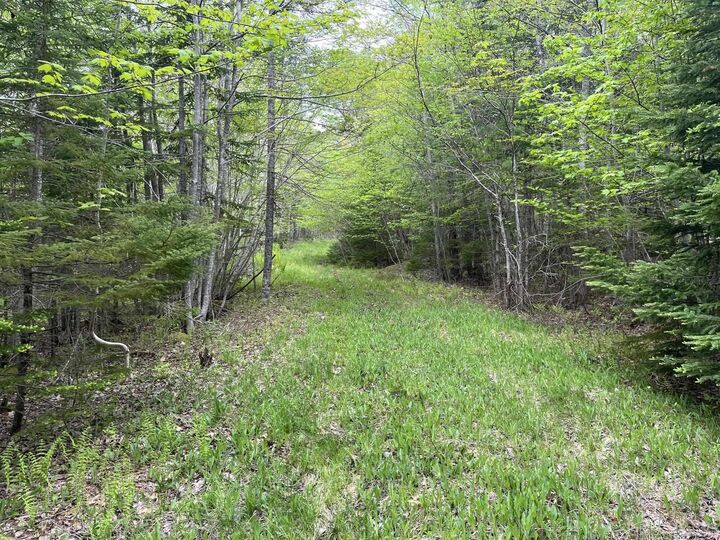 Property Photo:  Land Locust Street  NS B0J 1H0 