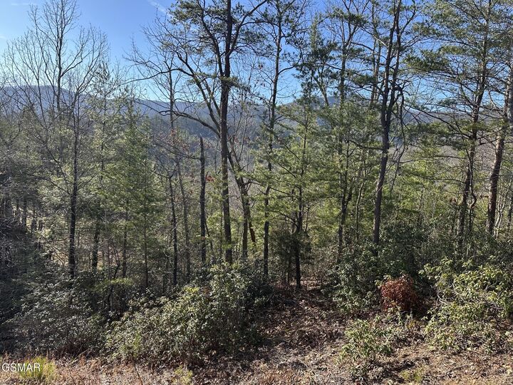 Property Photo: 1306 Morning Dove Way TN 37862
