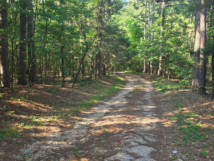 Property Photo:  1640 County Road 203  MO 65606 