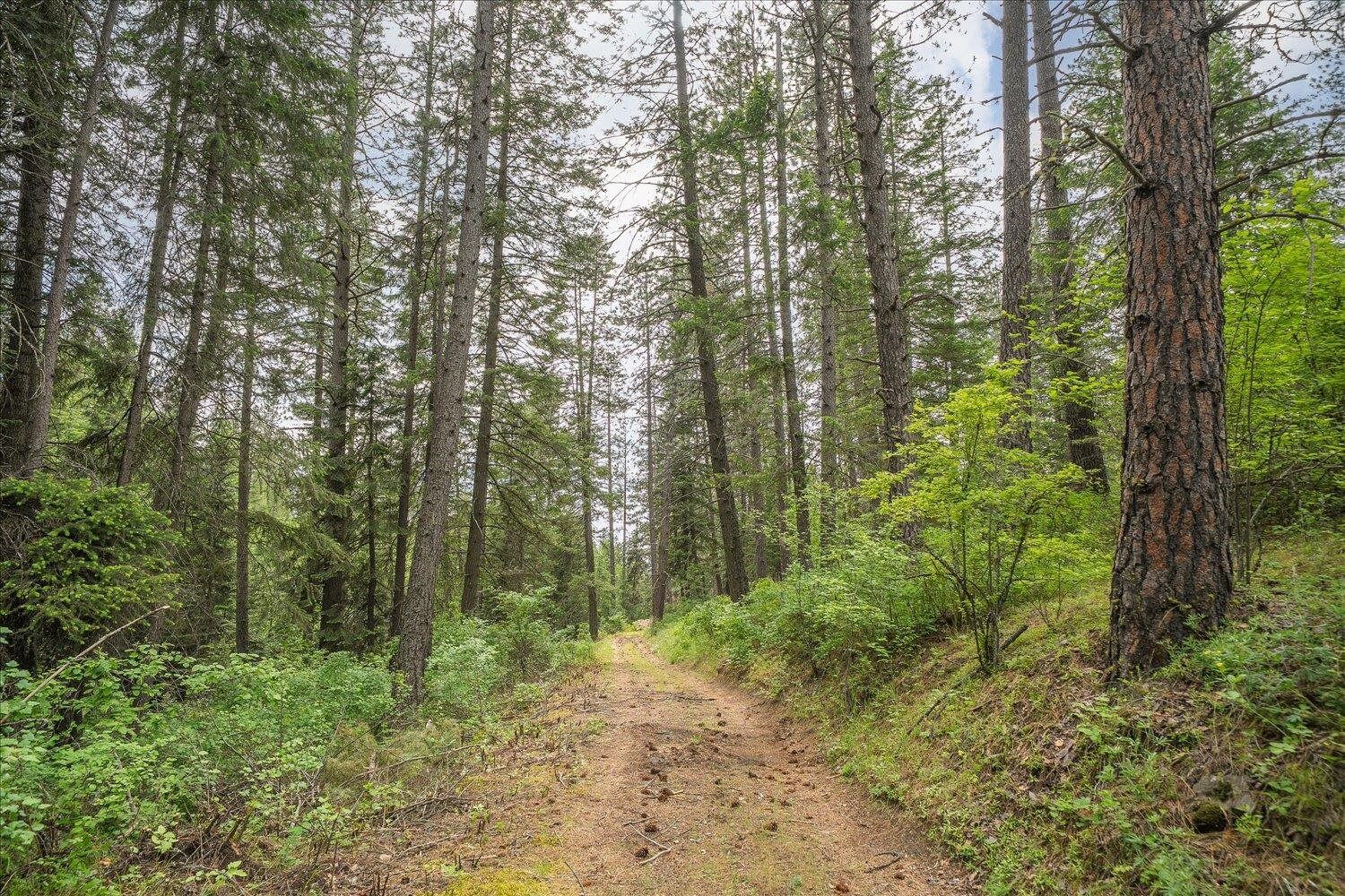 Property Photo:  22xxx N Madison Rd  WA 99021 