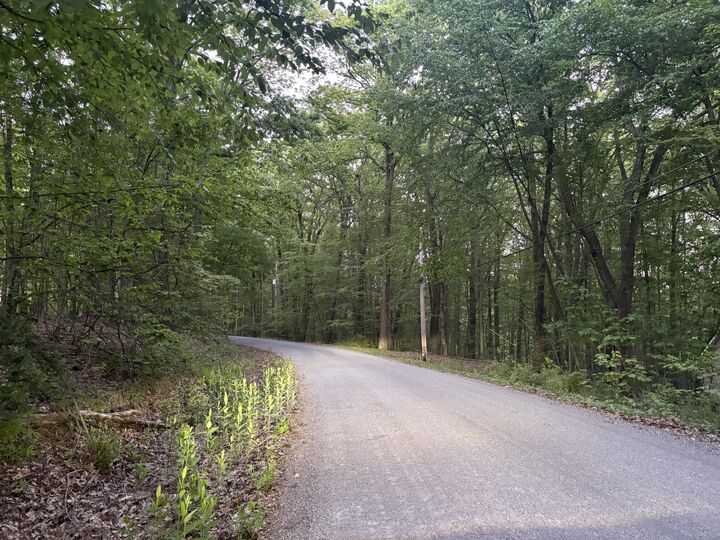 Property Photo: 7C Portsmouth PA 15801