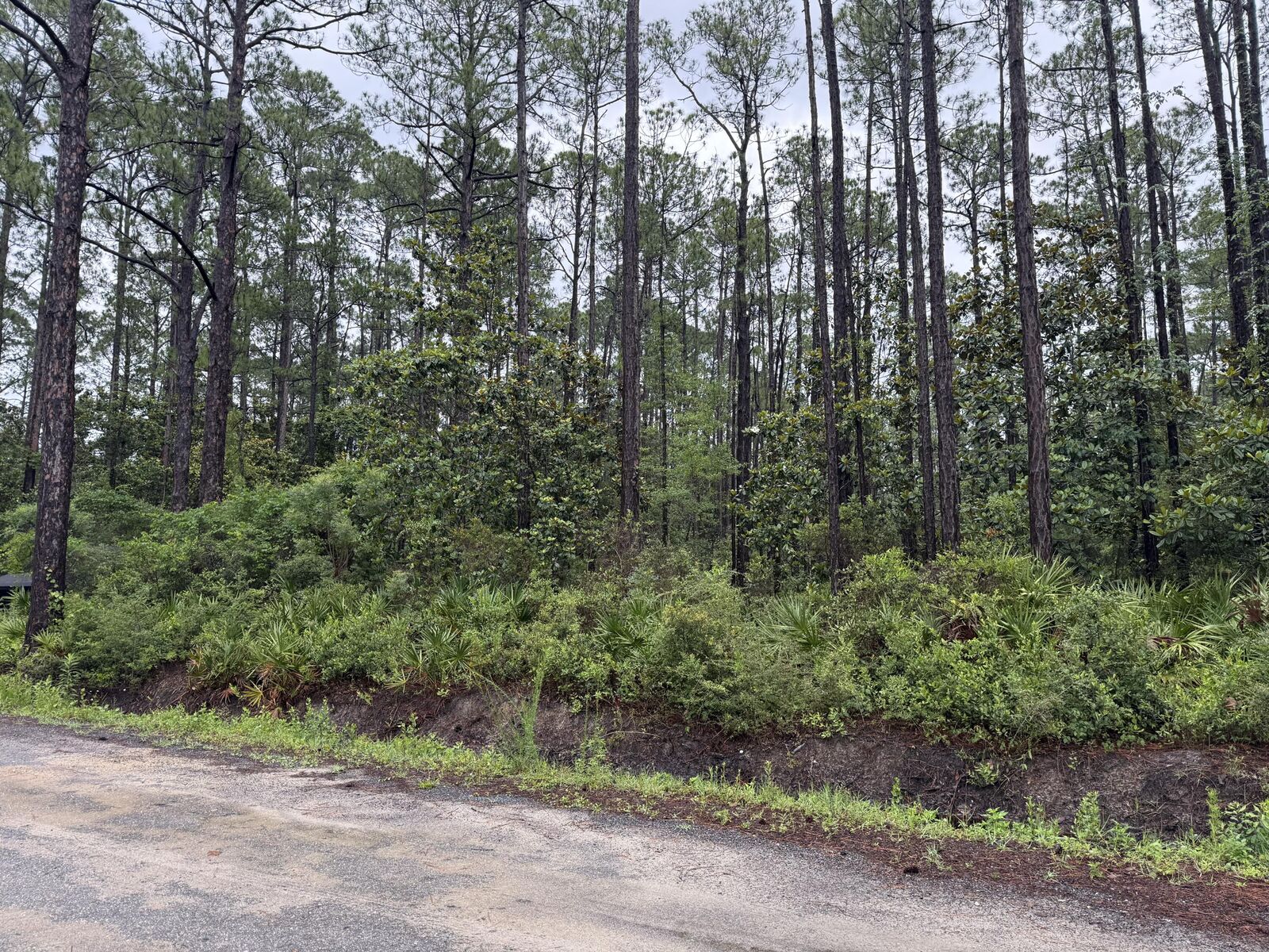 Property Photo:  Lot 1,2,3 12 Th Street  FL 32459 