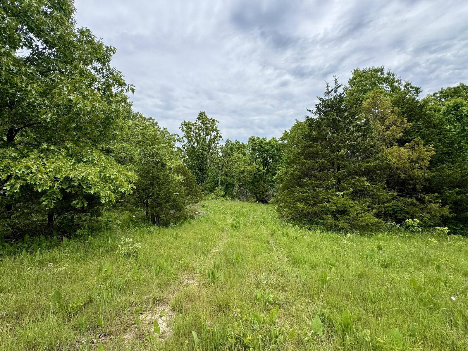 Property Photo:  000 Cottengim Road Road  MO 65702 