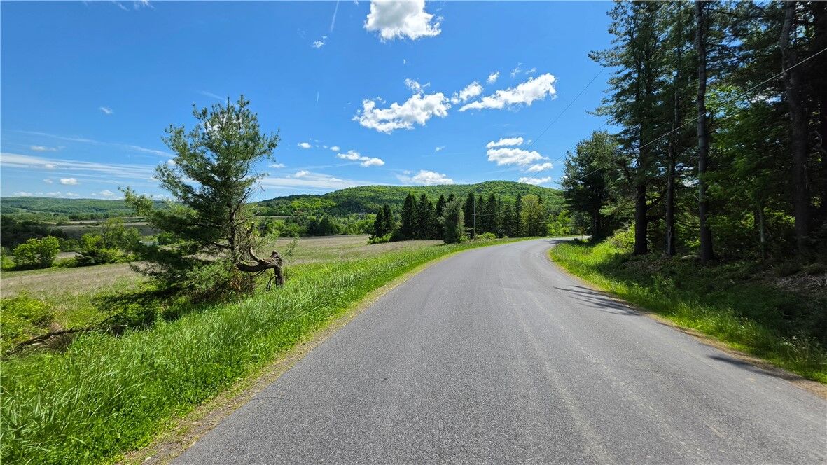 Property Photo:  228 Burns Road  NY 14817 