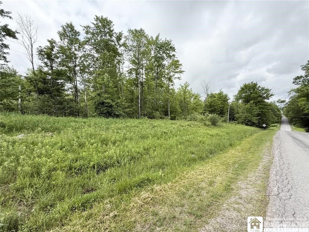 Property Photo:  0 Luce Road  NY 14712 