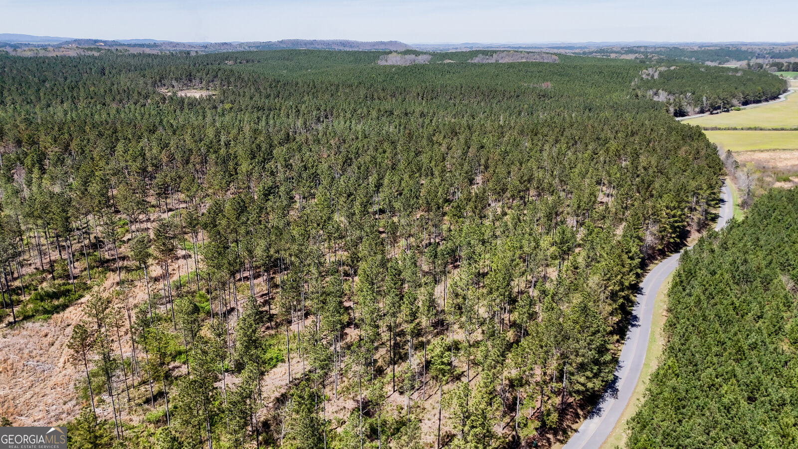 Property Photo:  403 Acres Youngs Farm Road  GA 30125 
