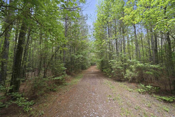 Property Photo: 0 Pear Orchard Road GA 30642-0000