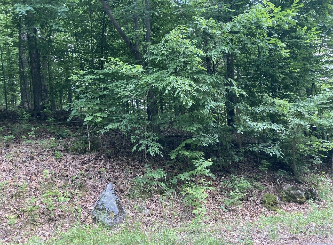 Property Photo: 0 Briarwood Drive TN 37061