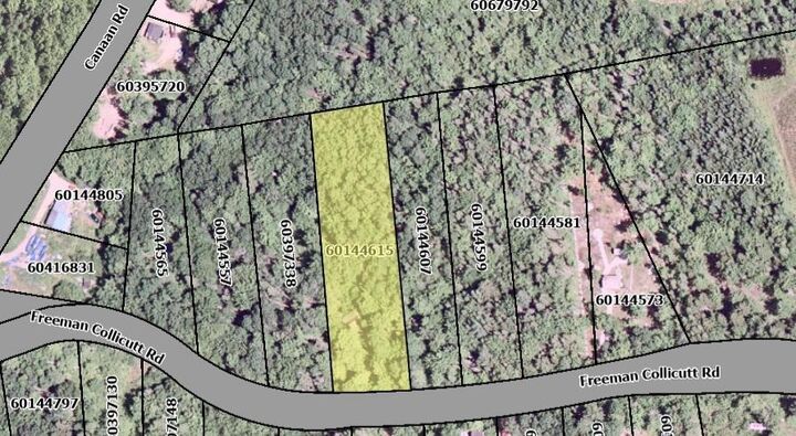 41 Freeman Collicutt Road — photo 1