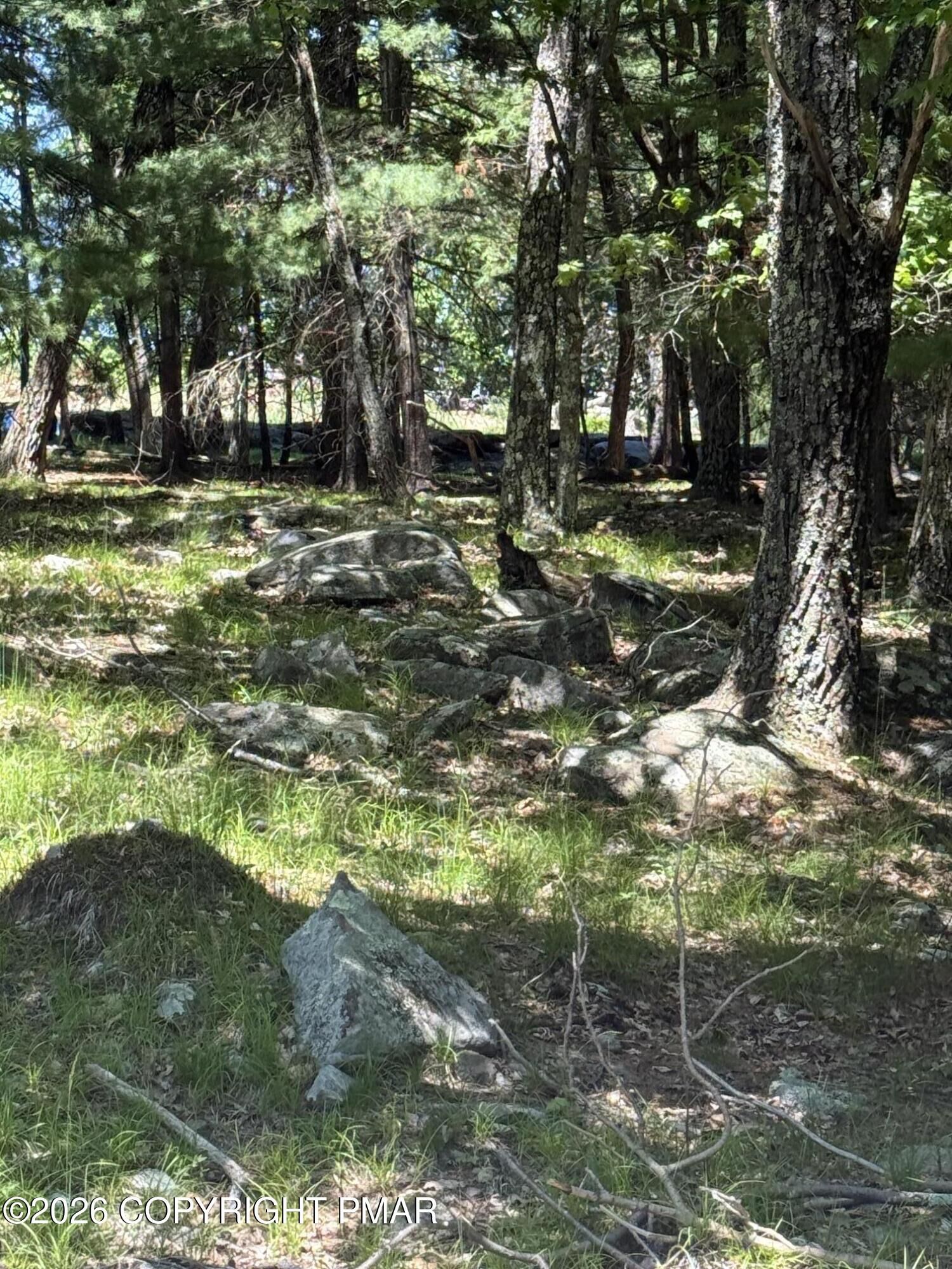 Property Photo: Song Mountain Drive PA 18464