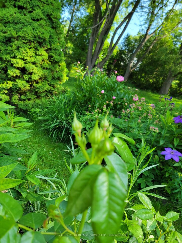 Property Photo: 136 Old Danforth Road ON K0K 2G0