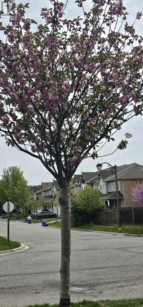 Photo de la propriété: 65 Maple Ridge Crescent ON L6E 1V2