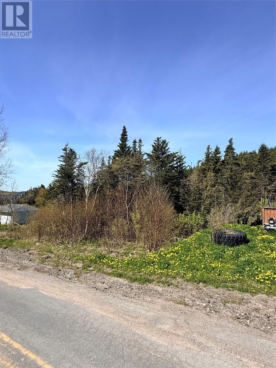 Property Photo:  00 Main Road  NL A0C 1G0 