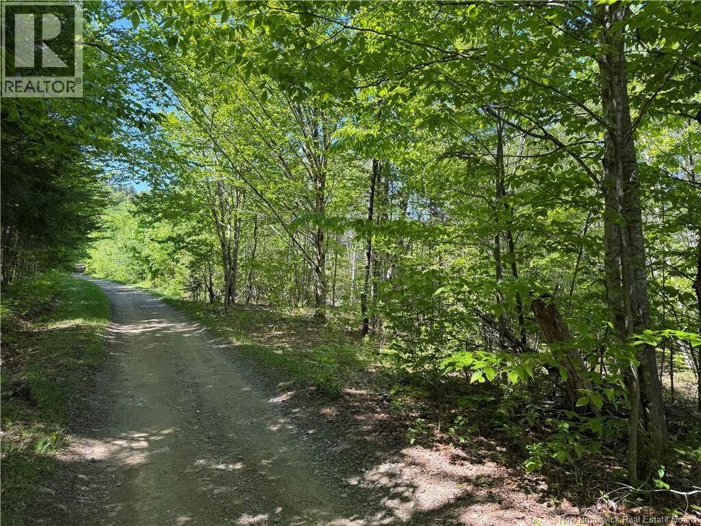 Property Photo:  124 Greenhill Lake Road  NB E6E 1G2 