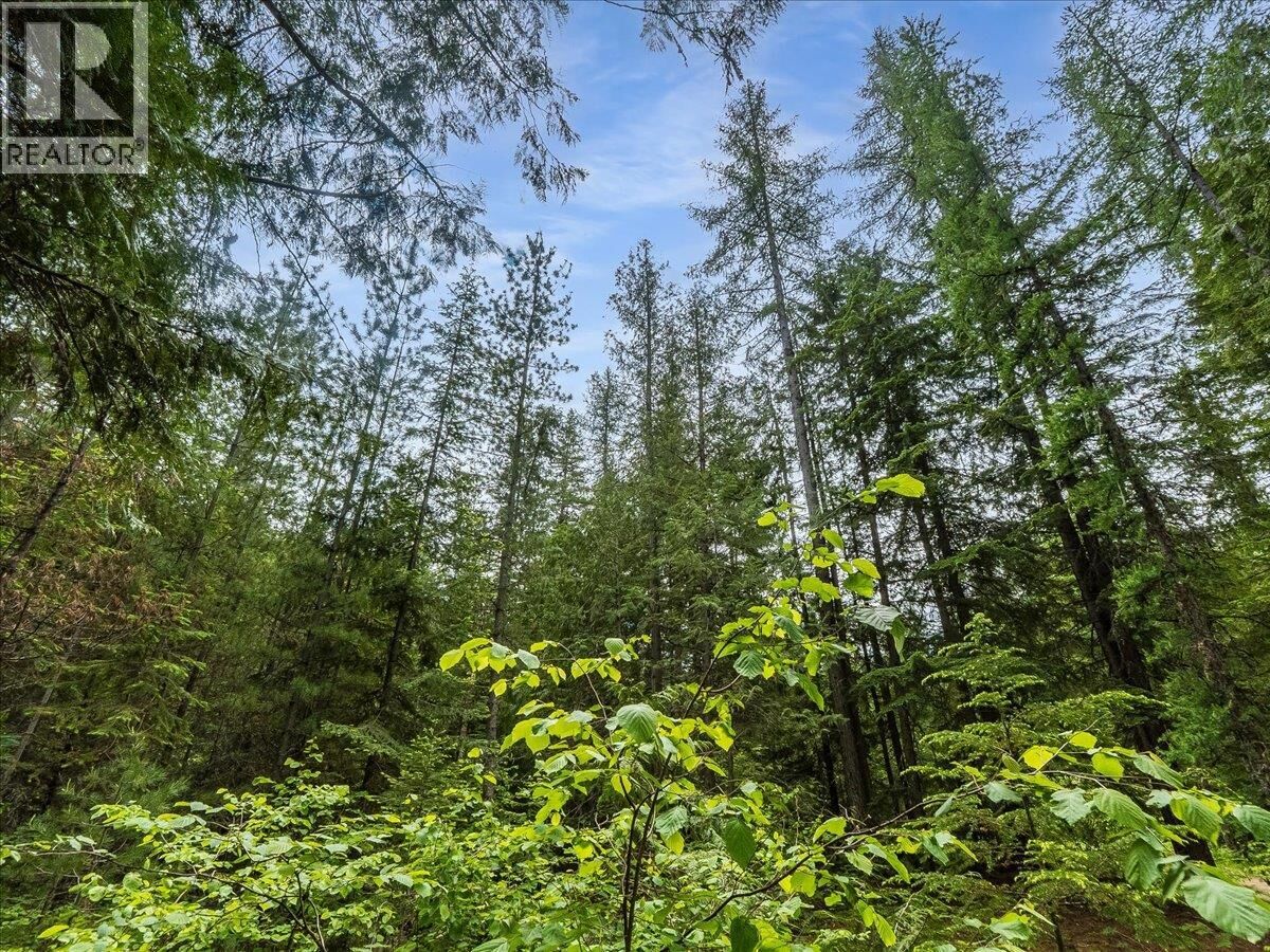 Property Photo:  Claybrick Road  BC V0G 2J0 